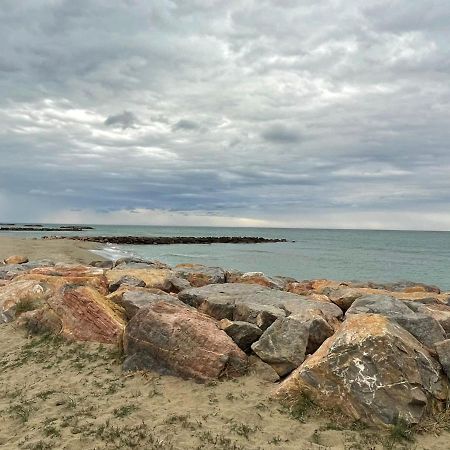 Port Barcares Vue Port Et Mer Le Barcarès Exterior foto
